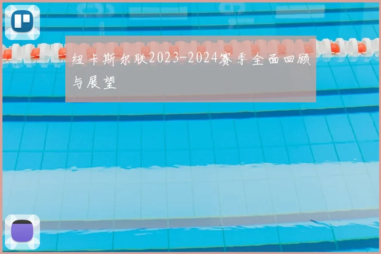 纽卡斯尔联2023-2024赛季全面回顾与展望
