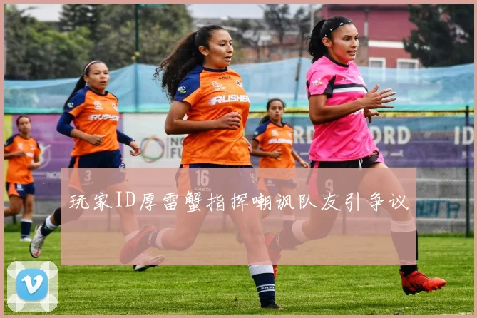 玩家ID厚雷蟹指挥嘲讽队友引争议