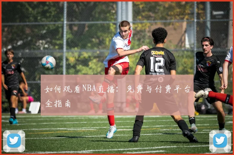如何观看NBA直播:免费与付费平台全指南