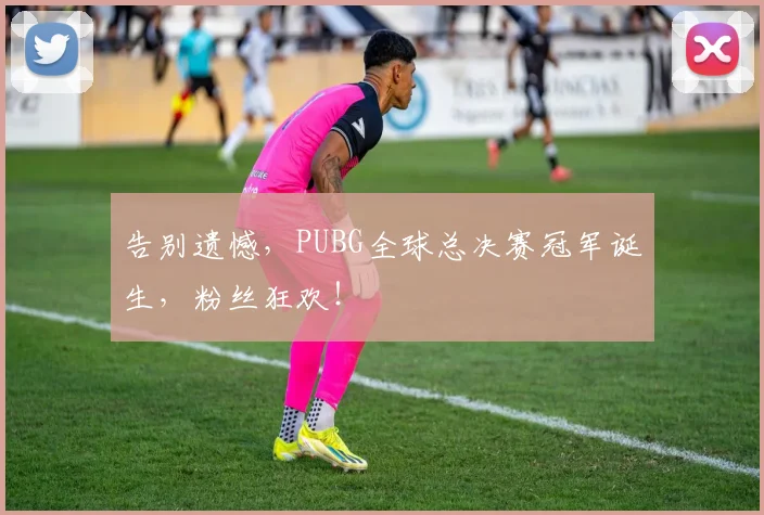 告别遗憾，PUBG全球总决赛冠军诞生，粉丝狂欢！